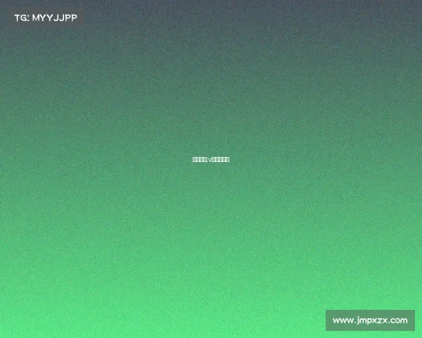 赛事报告;v站赛事情报