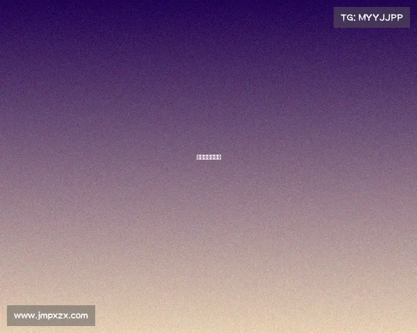 安索帕中国集团